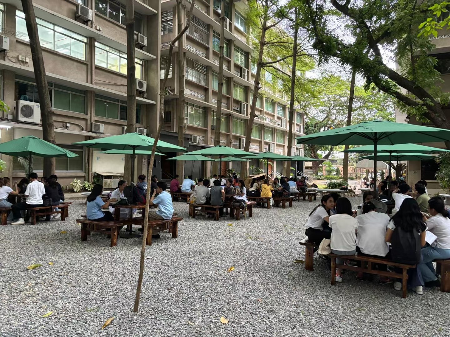 Versatile Patio Umbrellas